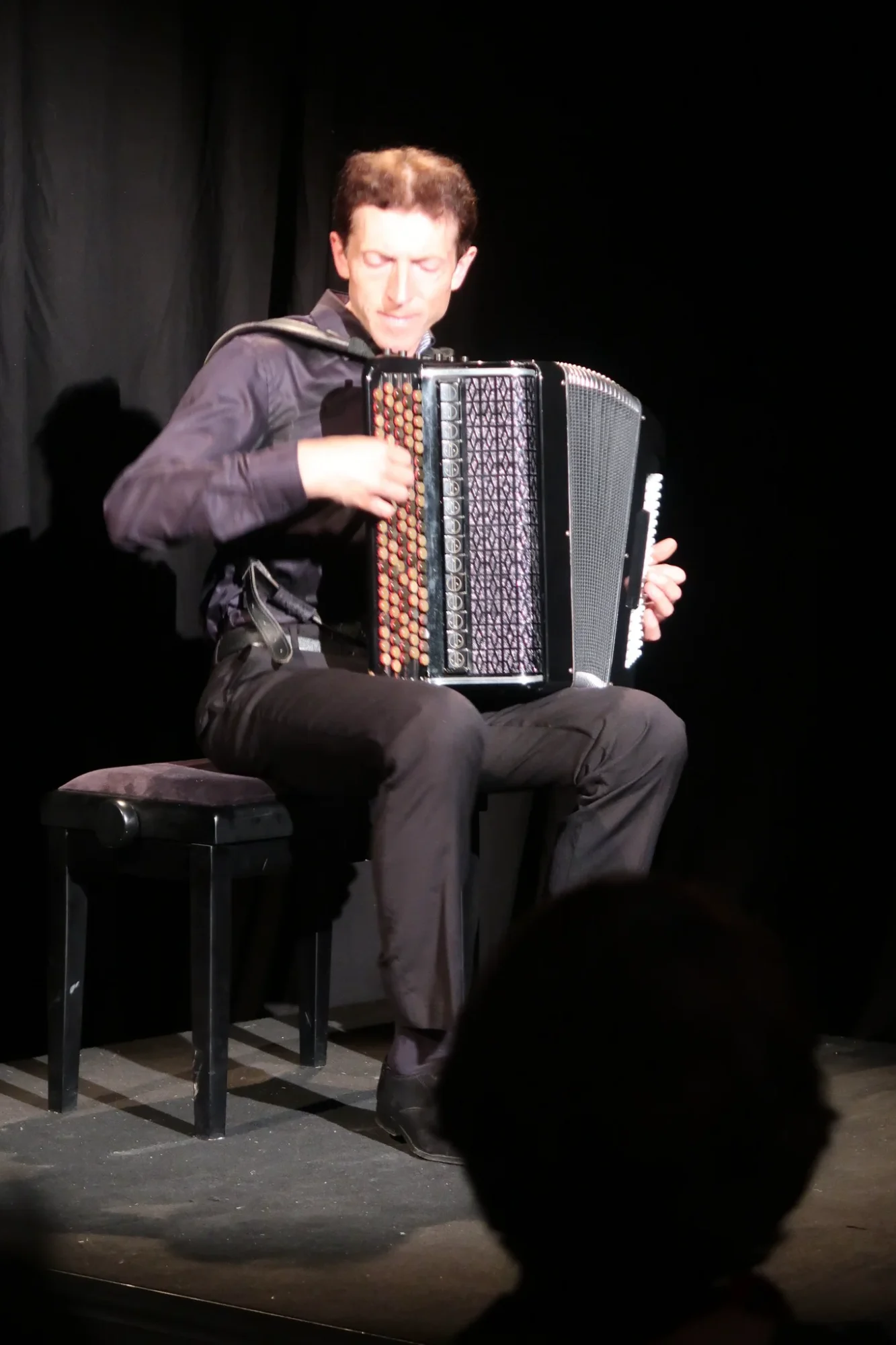 Un accordéoniste en concert1